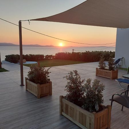Dionysus House And Ariadne Apartment Stelida  Exterior photo