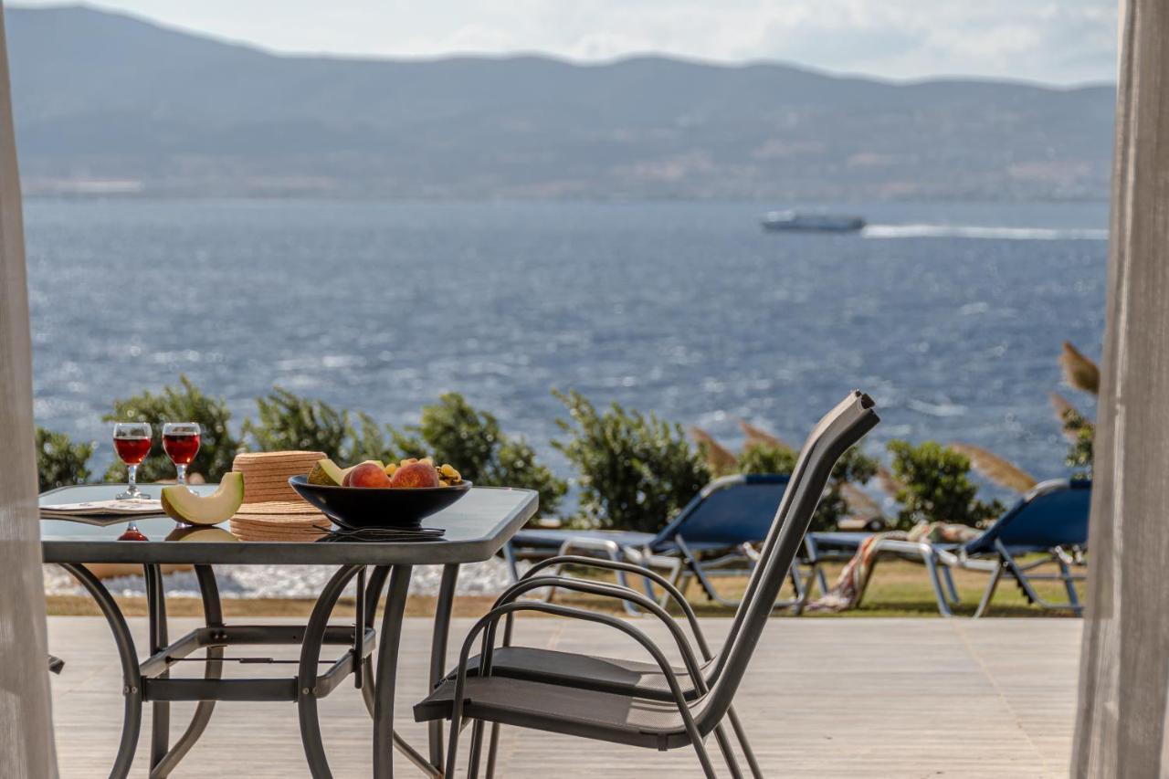 Dionysus House And Ariadne Apartment Stelida  Exterior photo